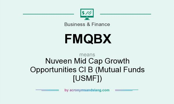 What does FMQBX mean? It stands for Nuveen Mid Cap Growth Opportunities Cl B (Mutual Funds [USMF])