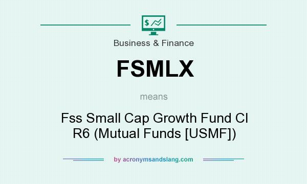What does FSMLX mean? It stands for Fss Small Cap Growth Fund Cl R6 (Mutual Funds [USMF])