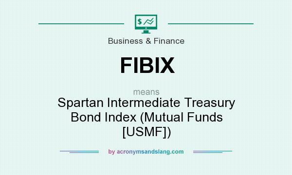 What does FIBIX mean? It stands for Spartan Intermediate Treasury Bond Index (Mutual Funds [USMF])
