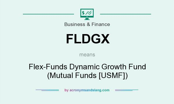 What does FLDGX mean? It stands for Flex-Funds Dynamic Growth Fund (Mutual Funds [USMF])