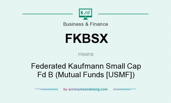 What does FKBSX mean? It stands for Federated Kaufmann Small Cap Fd B (Mutual Funds [USMF])
