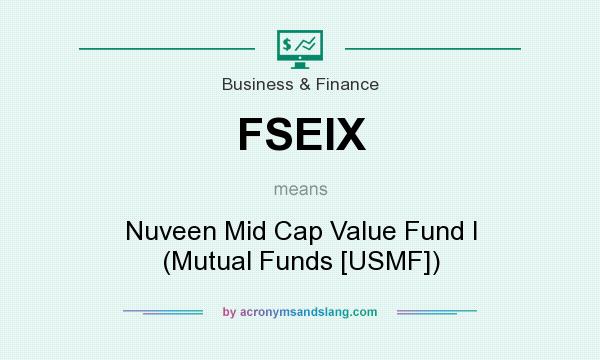 What does FSEIX mean? It stands for Nuveen Mid Cap Value Fund I (Mutual Funds [USMF])