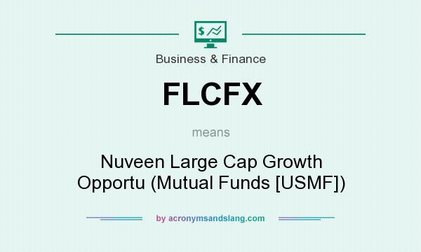 What does FLCFX mean? It stands for Nuveen Large Cap Growth Opportu (Mutual Funds [USMF])