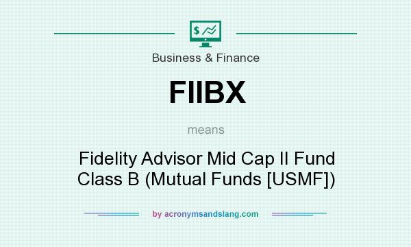 What does FIIBX mean? It stands for Fidelity Advisor Mid Cap II Fund Class B (Mutual Funds [USMF])