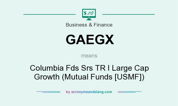 What does GAEGX mean? It stands for Columbia Fds Srs TR I Large Cap Growth (Mutual Funds [USMF])
