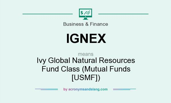 What does IGNEX mean? It stands for Ivy Global Natural Resources Fund Class (Mutual Funds [USMF])