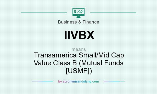What does IIVBX mean? It stands for Transamerica Small/Mid Cap Value Class B (Mutual Funds [USMF])