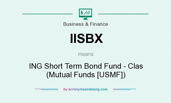 What does IISBX mean? It stands for ING Short Term Bond Fund - Clas (Mutual Funds [USMF])