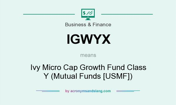 What does IGWYX mean? It stands for Ivy Micro Cap Growth Fund Class Y (Mutual Funds [USMF])