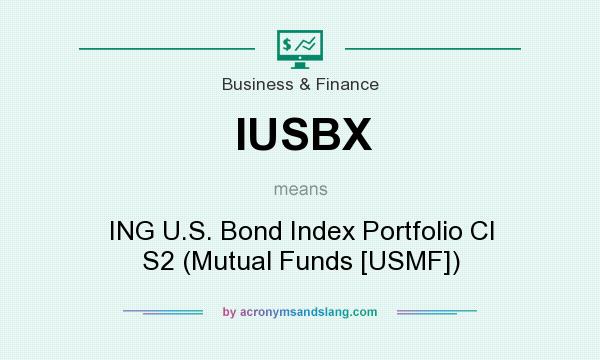 What does IUSBX mean? It stands for ING U.S. Bond Index Portfolio Cl S2 (Mutual Funds [USMF])