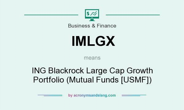 What does IMLGX mean? It stands for ING Blackrock Large Cap Growth Portfolio (Mutual Funds [USMF])