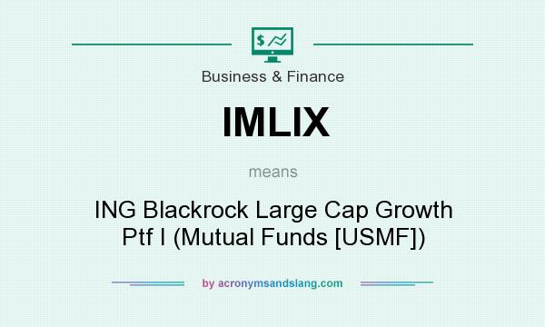 What does IMLIX mean? It stands for ING Blackrock Large Cap Growth Ptf I (Mutual Funds [USMF])