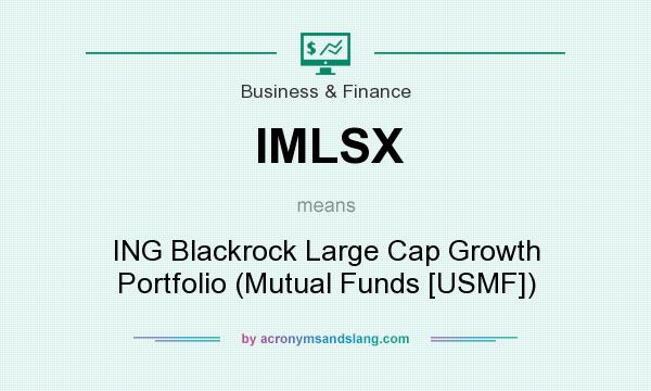 What does IMLSX mean? It stands for ING Blackrock Large Cap Growth Portfolio (Mutual Funds [USMF])