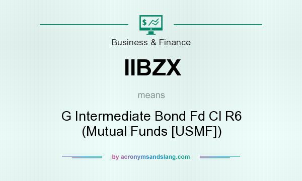 What does IIBZX mean? It stands for G Intermediate Bond Fd Cl R6 (Mutual Funds [USMF])