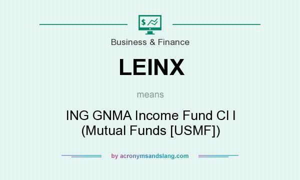 What does LEINX mean? It stands for ING GNMA Income Fund Cl I (Mutual Funds [USMF])
