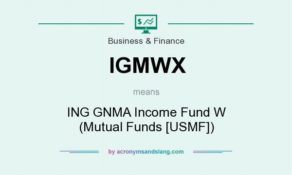 What does IGMWX mean? It stands for ING GNMA Income Fund W (Mutual Funds [USMF])