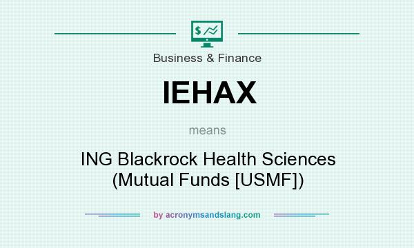 What does IEHAX mean? It stands for ING Blackrock Health Sciences (Mutual Funds [USMF])