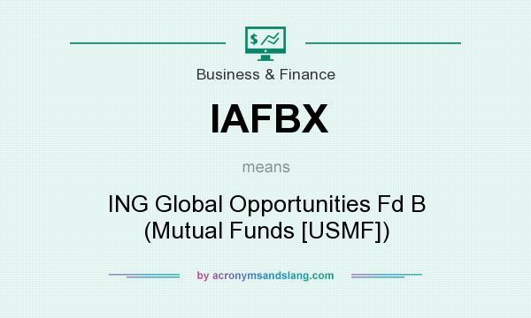 What does IAFBX mean? It stands for ING Global Opportunities Fd B (Mutual Funds [USMF])