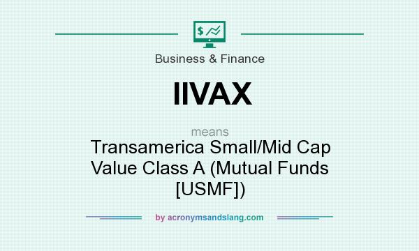 What does IIVAX mean? It stands for Transamerica Small/Mid Cap Value Class A (Mutual Funds [USMF])