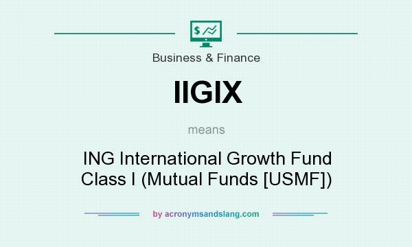What does IIGIX mean? It stands for ING International Growth Fund Class I (Mutual Funds [USMF])