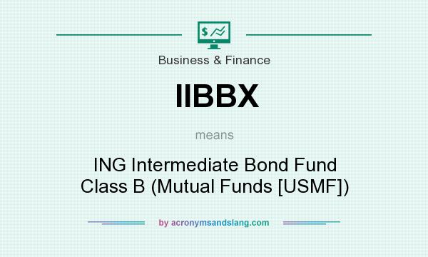 What does IIBBX mean? It stands for ING Intermediate Bond Fund Class B (Mutual Funds [USMF])