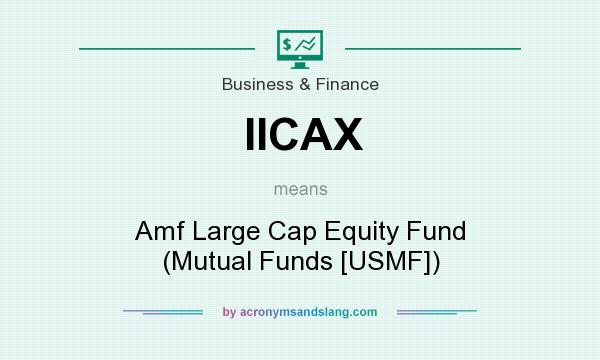 What does IICAX mean? It stands for Amf Large Cap Equity Fund (Mutual Funds [USMF])