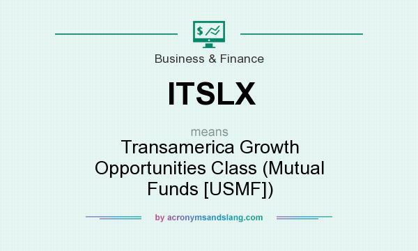 What does ITSLX mean? It stands for Transamerica Growth Opportunities Class (Mutual Funds [USMF])