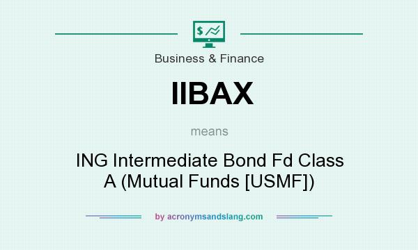 What does IIBAX mean? It stands for ING Intermediate Bond Fd Class A (Mutual Funds [USMF])