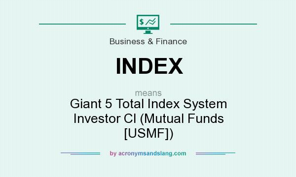 What does INDEX mean? It stands for Giant 5 Total Index System Investor Cl (Mutual Funds [USMF])