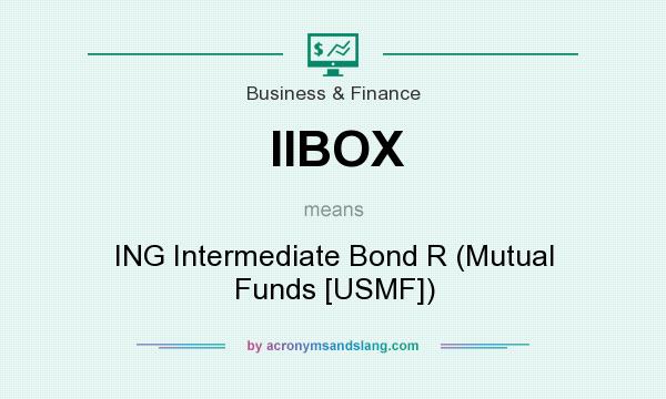 What does IIBOX mean? It stands for ING Intermediate Bond R (Mutual Funds [USMF])