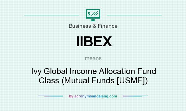 What does IIBEX mean? It stands for Ivy Global Income Allocation Fund Class (Mutual Funds [USMF])