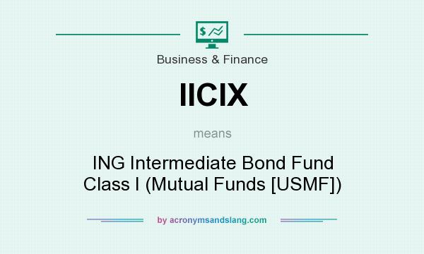 What does IICIX mean? It stands for ING Intermediate Bond Fund Class I (Mutual Funds [USMF])