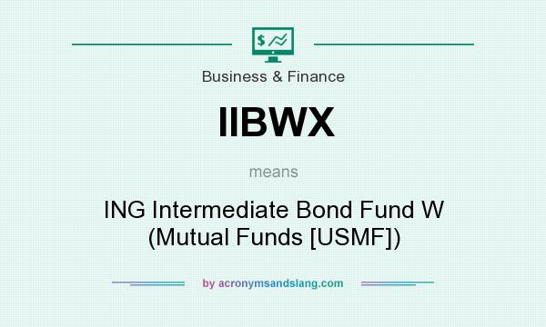What does IIBWX mean? It stands for ING Intermediate Bond Fund W (Mutual Funds [USMF])