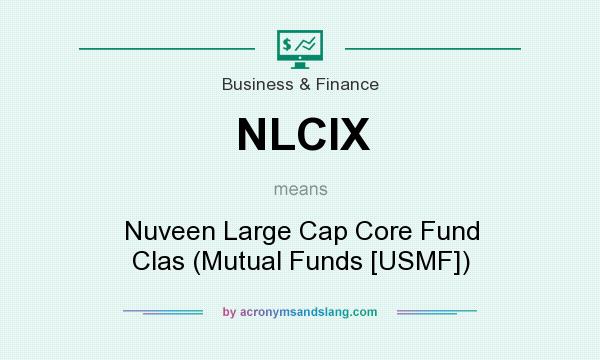 What does NLCIX mean? It stands for Nuveen Large Cap Core Fund Clas (Mutual Funds [USMF])