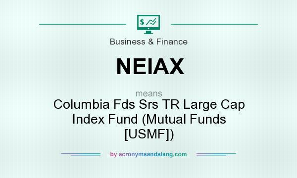 What does NEIAX mean? It stands for Columbia Fds Srs TR Large Cap Index Fund (Mutual Funds [USMF])