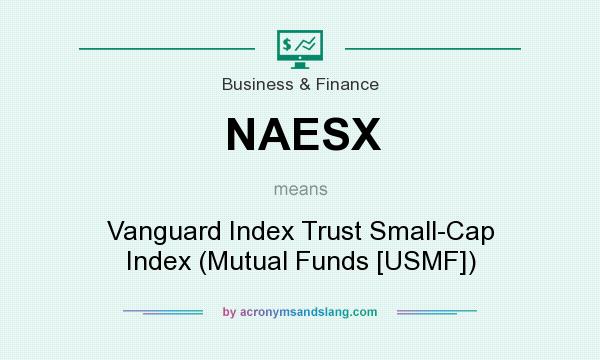 What does NAESX mean? It stands for Vanguard Index Trust Small-Cap Index (Mutual Funds [USMF])