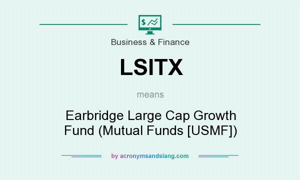What does LSITX mean? It stands for Earbridge Large Cap Growth Fund (Mutual Funds [USMF])