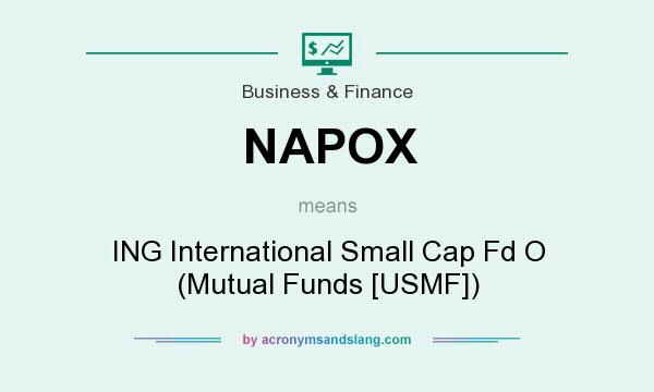 What does NAPOX mean? It stands for ING International Small Cap Fd O (Mutual Funds [USMF])