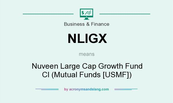 What does NLIGX mean? It stands for Nuveen Large Cap Growth Fund Cl (Mutual Funds [USMF])