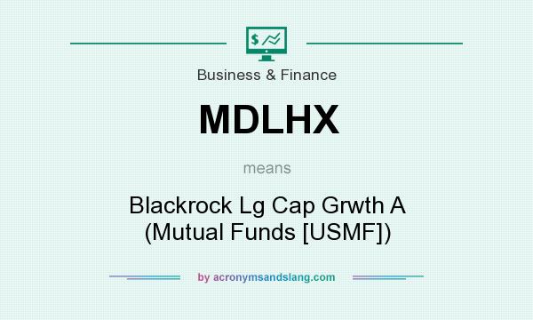 What does MDLHX mean? It stands for Blackrock Lg Cap Grwth A (Mutual Funds [USMF])
