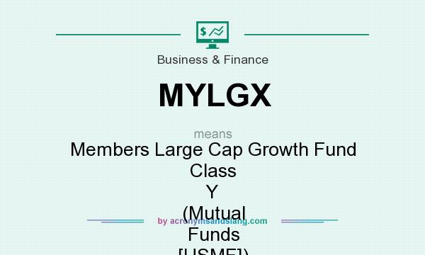 What does MYLGX mean? It stands for Members Large Cap Growth Fund Class Y (Mutual Funds [USMF])