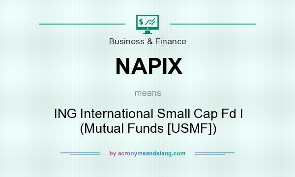 What does NAPIX mean? It stands for ING International Small Cap Fd I (Mutual Funds [USMF])