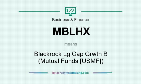 What does MBLHX mean? It stands for Blackrock Lg Cap Grwth B (Mutual Funds [USMF])