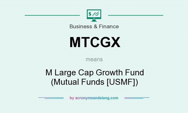 What does MTCGX mean? It stands for M Large Cap Growth Fund (Mutual Funds [USMF])
