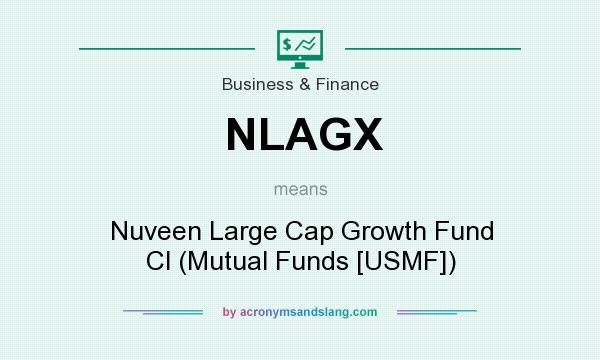What does NLAGX mean? It stands for Nuveen Large Cap Growth Fund Cl (Mutual Funds [USMF])