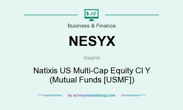 What does NESYX mean? It stands for Natixis US Multi-Cap Equity Cl Y (Mutual Funds [USMF])