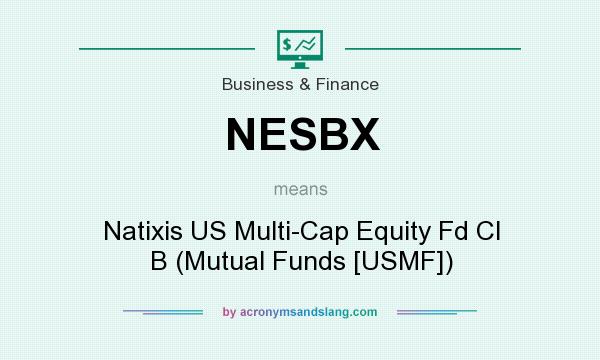 What does NESBX mean? It stands for Natixis US Multi-Cap Equity Fd Cl B (Mutual Funds [USMF])