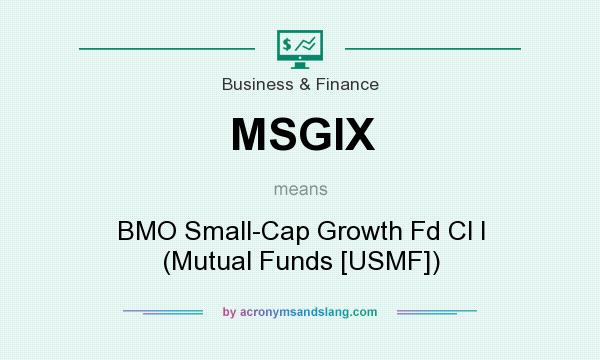 What does MSGIX mean? It stands for BMO Small-Cap Growth Fd Cl I (Mutual Funds [USMF])