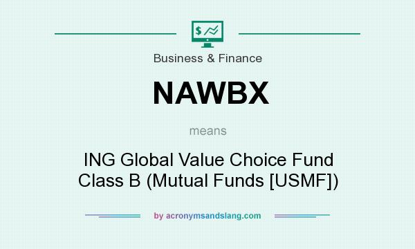 What does NAWBX mean? It stands for ING Global Value Choice Fund Class B (Mutual Funds [USMF])