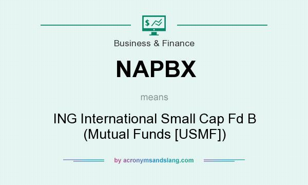 What does NAPBX mean? It stands for ING International Small Cap Fd B (Mutual Funds [USMF])